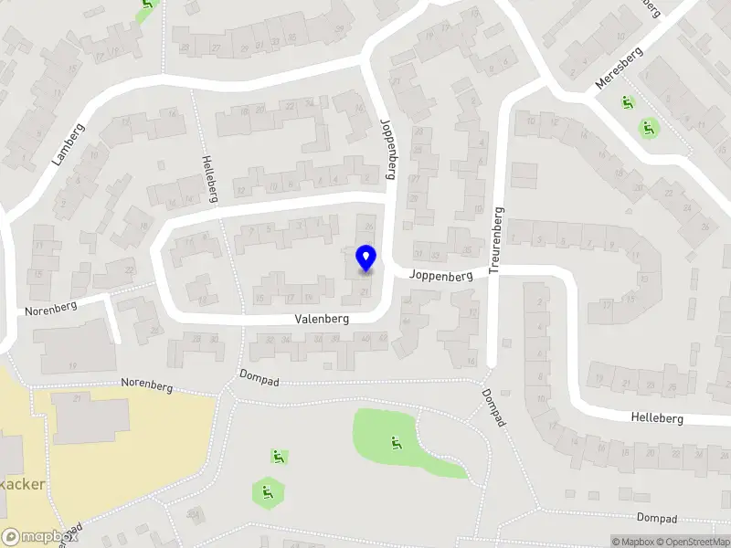 Nieuw bedrijf Vayu Project Management Consulting