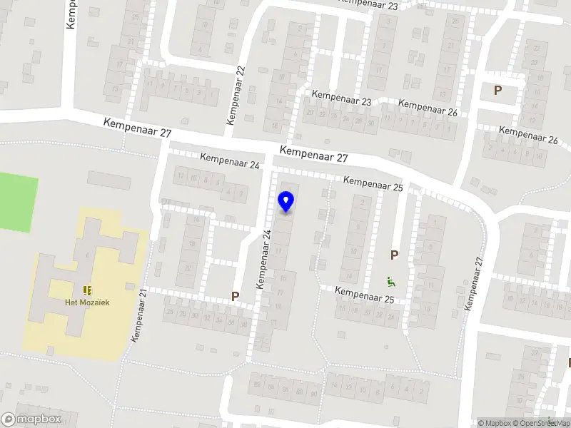 CHECK-IN THAI FRIED CHICKEN