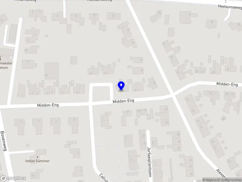 Coen Hoogeveen Directiechauffeursdiensten