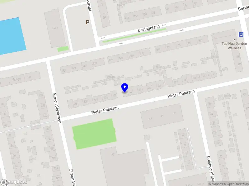 Camellia Holding B.V.