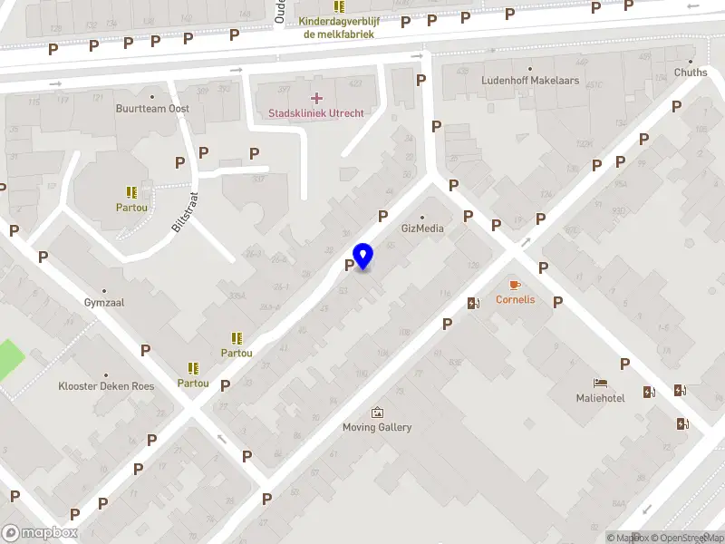 Camphuysen Consultancy