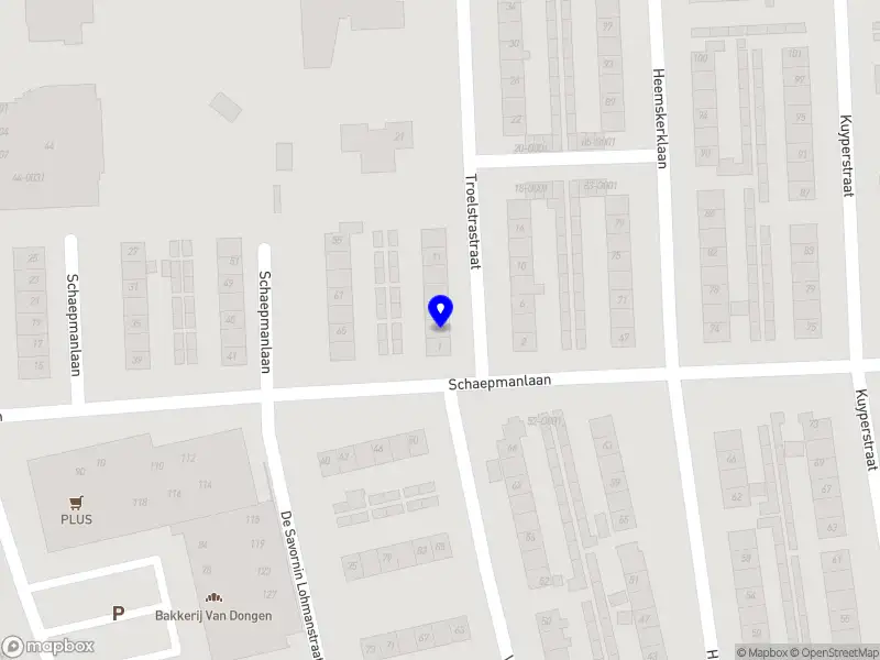 DIGSA FAMILE NEDERLAND