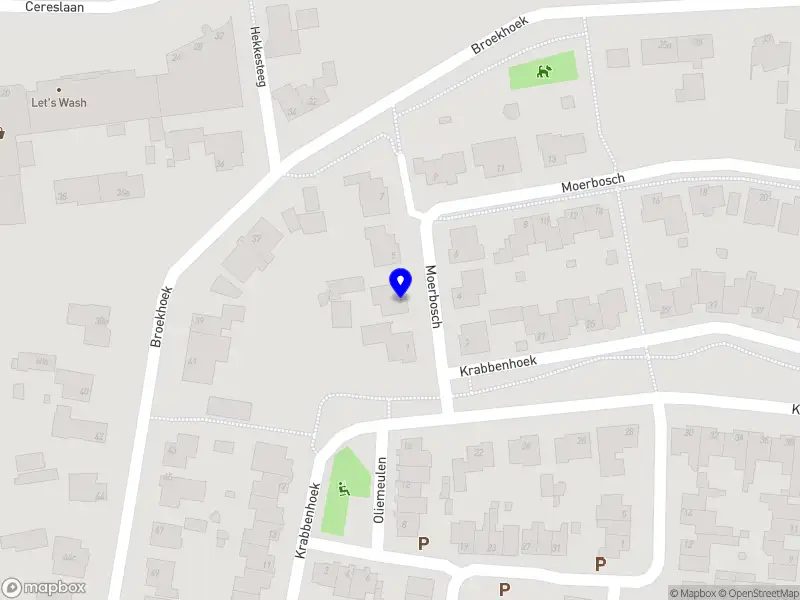 RHZ Invest & Real Estate B.V.