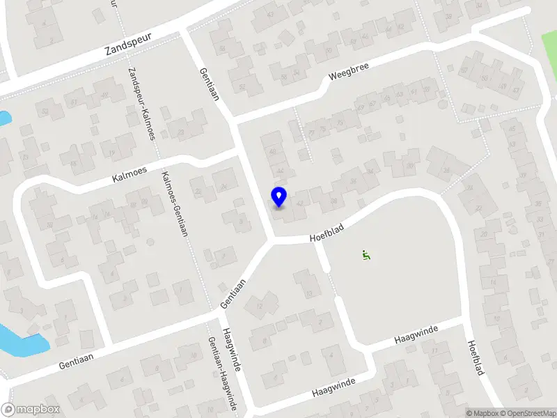 Bij Mo natuurlijk creatief