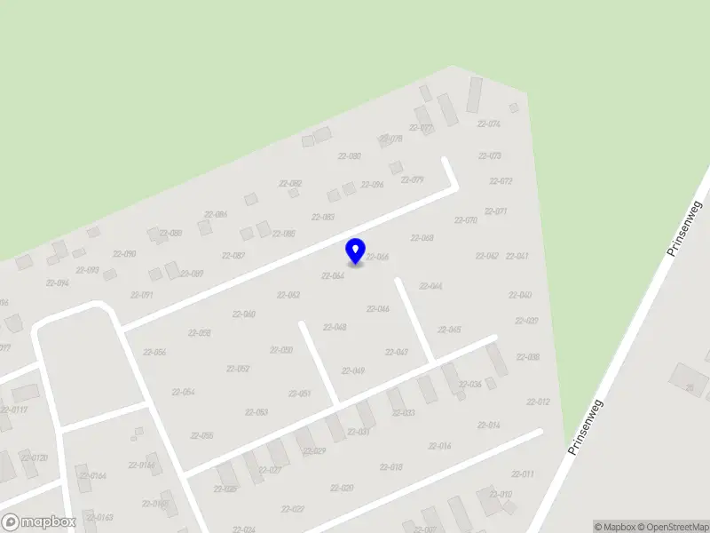 Nieuw bedrijf An maakt er wat van