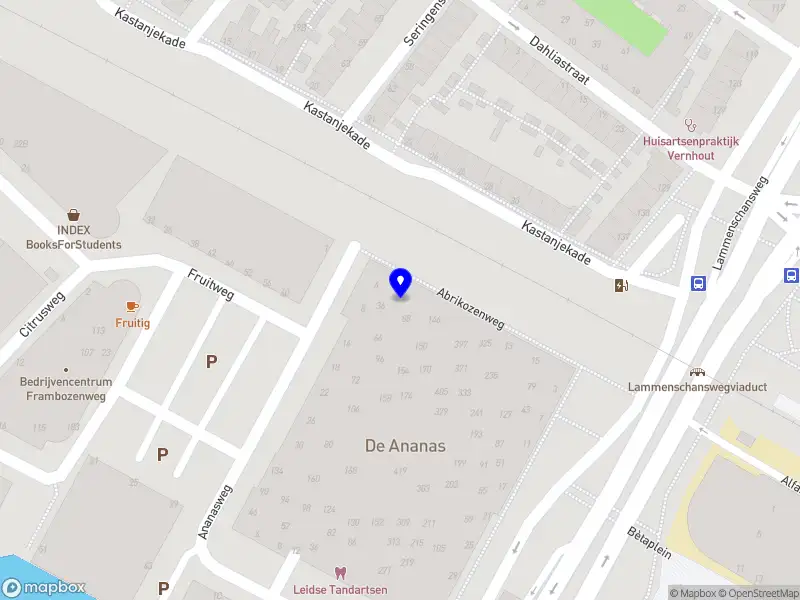 Elena Romanelli Tours