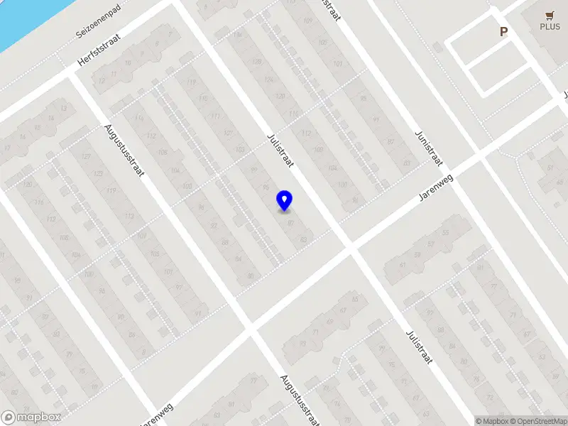 Tupee Verpleegkundige Zorg