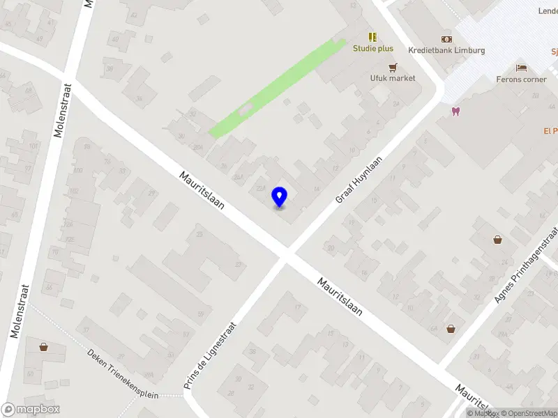 Nieuw bedrijf Korean & Japans Restaurant