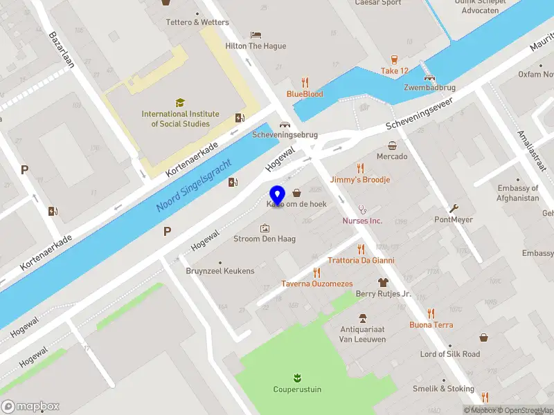 Viktoriia Golovneva Consulting