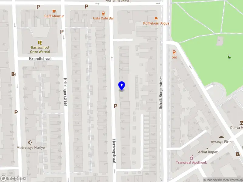 Nieuw bedrijf HaagRide Taxi