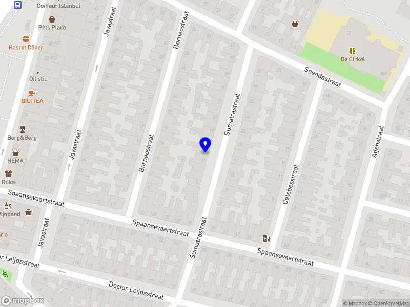 Maria Chirikina Advisory