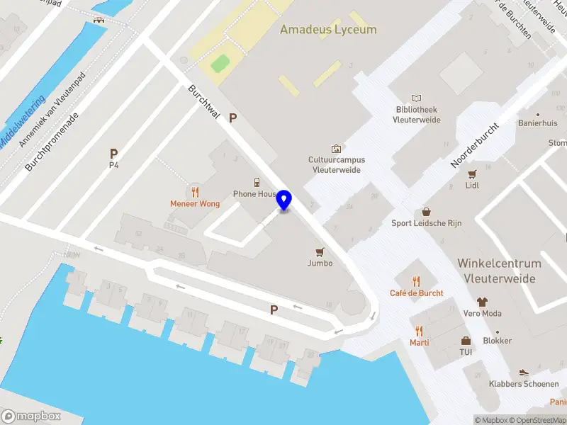 Nieuw bedrijf Roxanne Tom