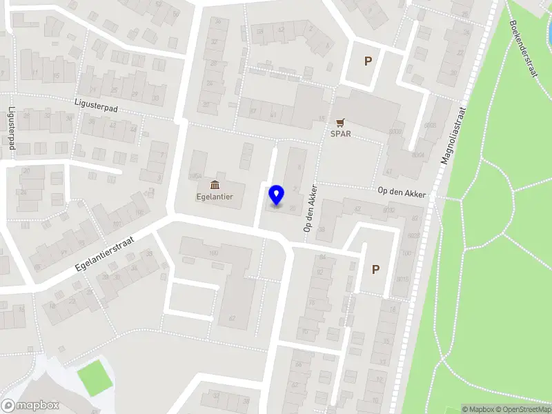 DutchHET met Paulina