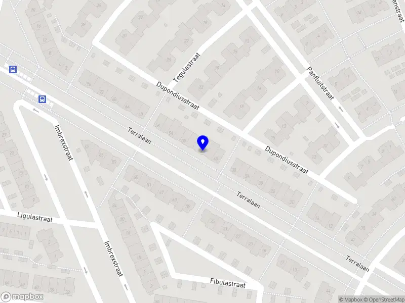 Nieuw bedrijf Kas Creatives & Solutions