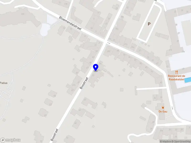 Marin Benke - Web & IT