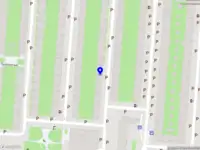 Amsterdam Toeristen Service Adnan