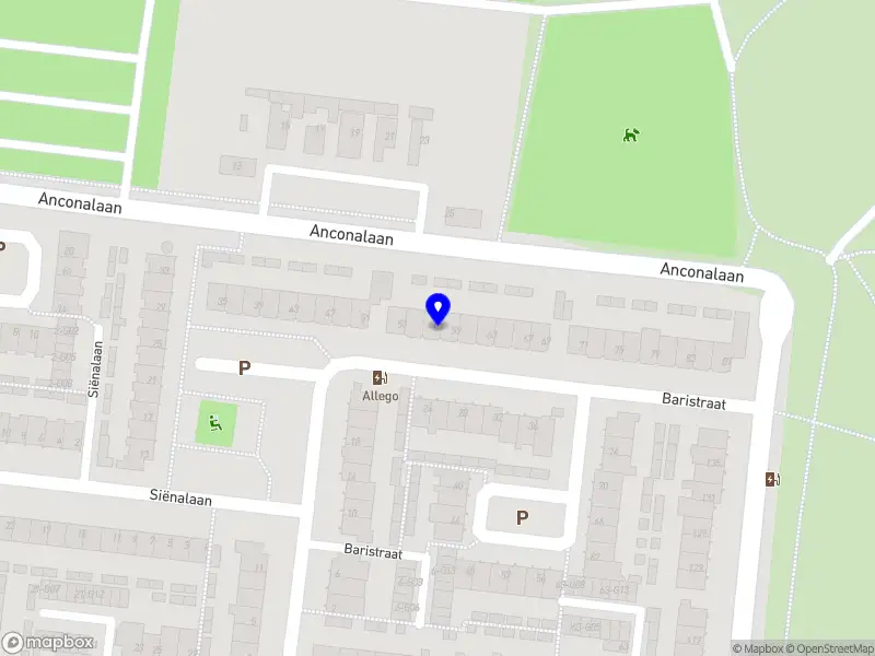 Vincent Strijtveen Coaching