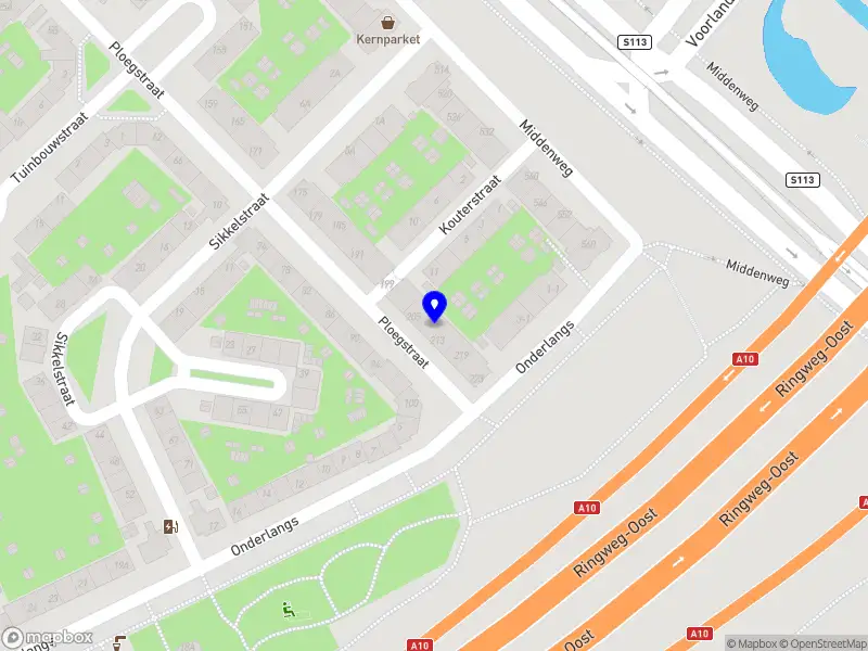 Beeldend kunstenaar Consuela Veira