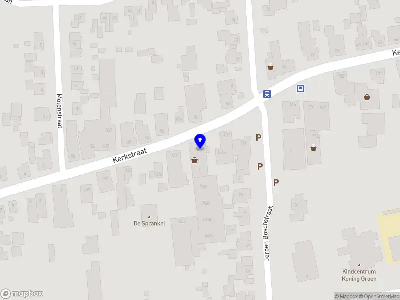 The Gilded Goose Studio