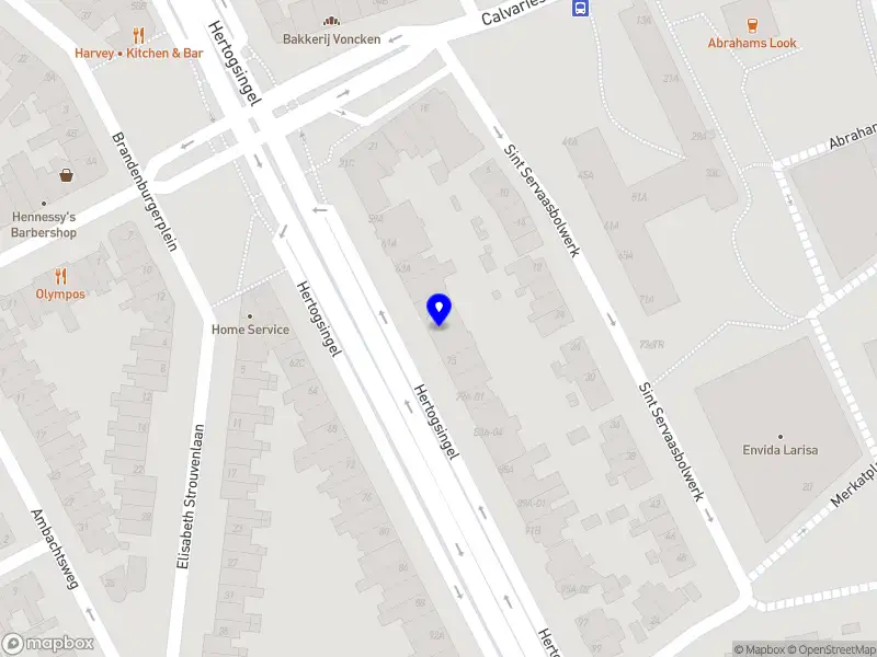 AMJ Investments Holding B.V.