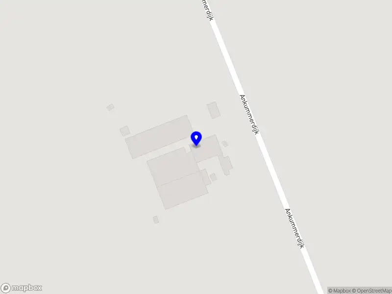 Atelier met bloemen Aniek & Henriët