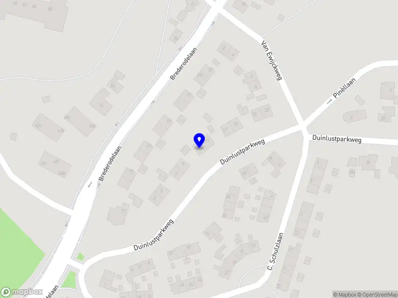 Pedagoog in Beweging