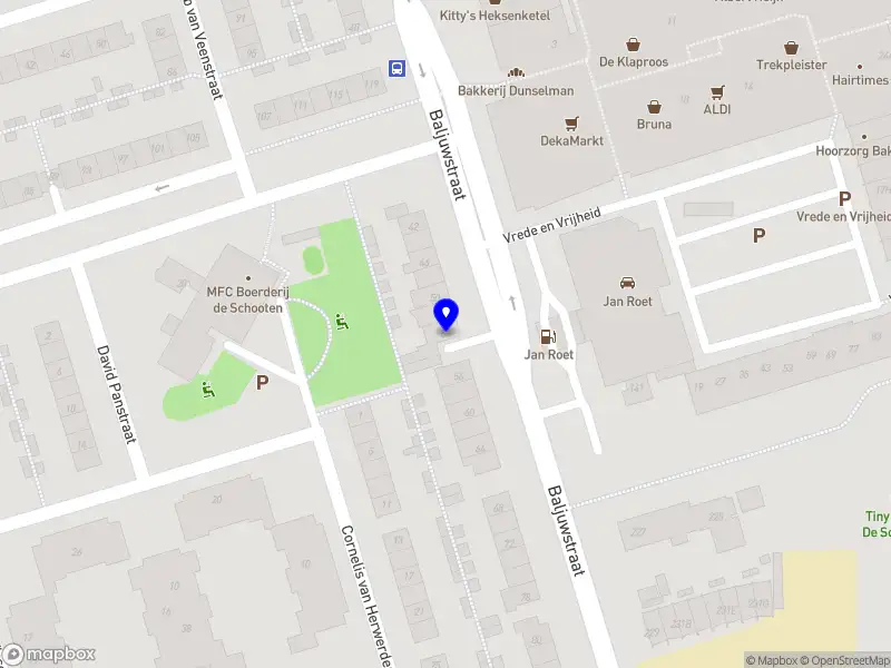 Mike Duijzer Holding B.V.