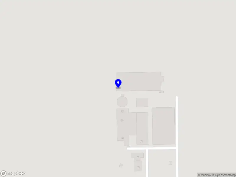 The Extraordinary Life Company