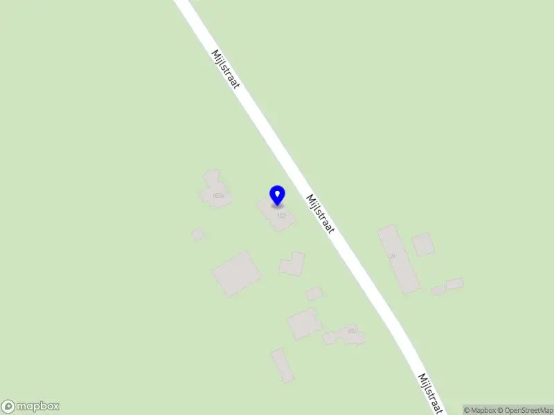 Oxalis Opvallend Groen