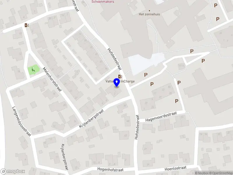 Toptennis Sarah van Emst