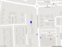 Palm Car Service