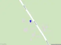 Oxalis Opvallend Groen