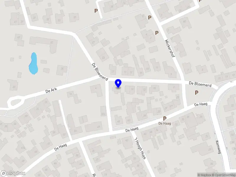 Van Nistelrooij Advisory