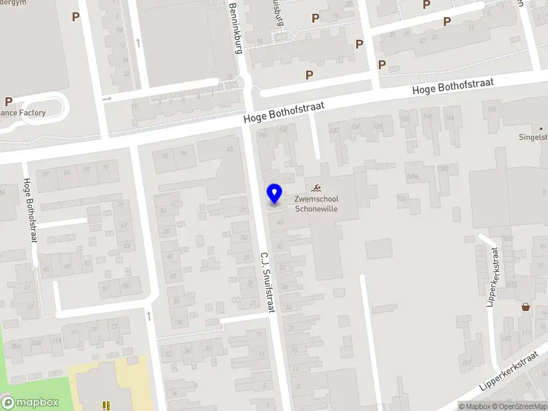 DS Engineering Design