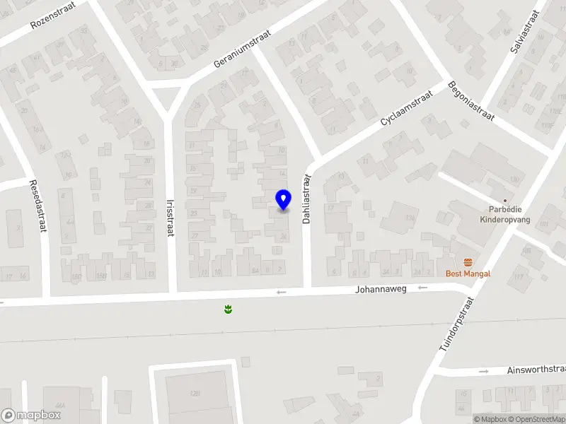 Bridge Voeding & Training