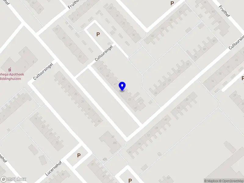 Nieuw bedrijf Taxi Service Biddinghuizen