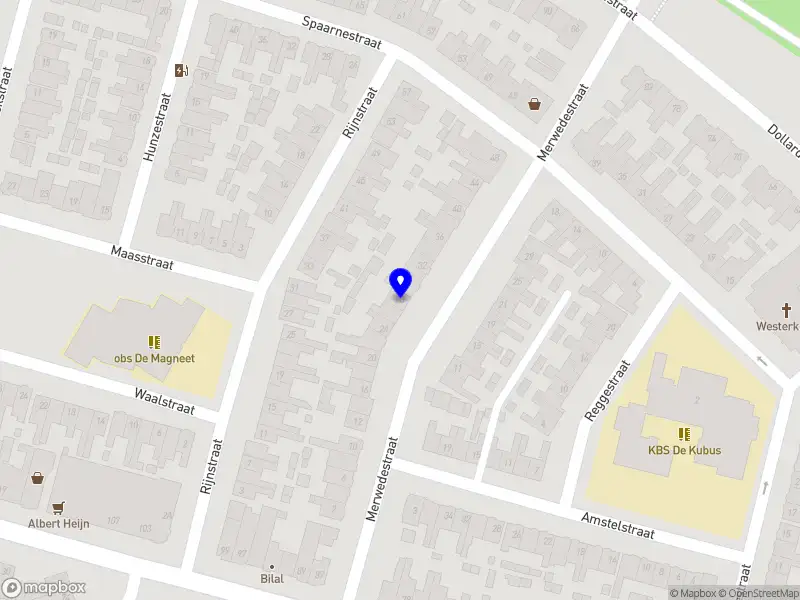 Nieuw bedrijf Shany Studio