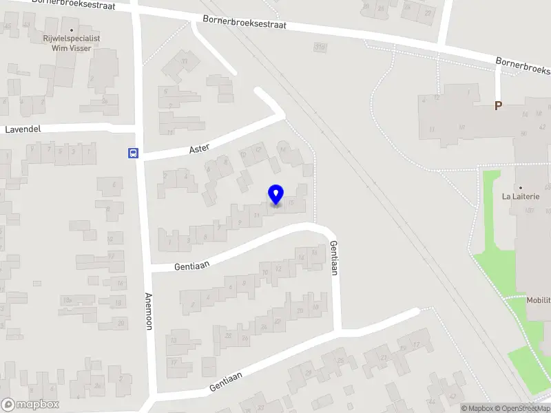 Van Neck Schilderwerken