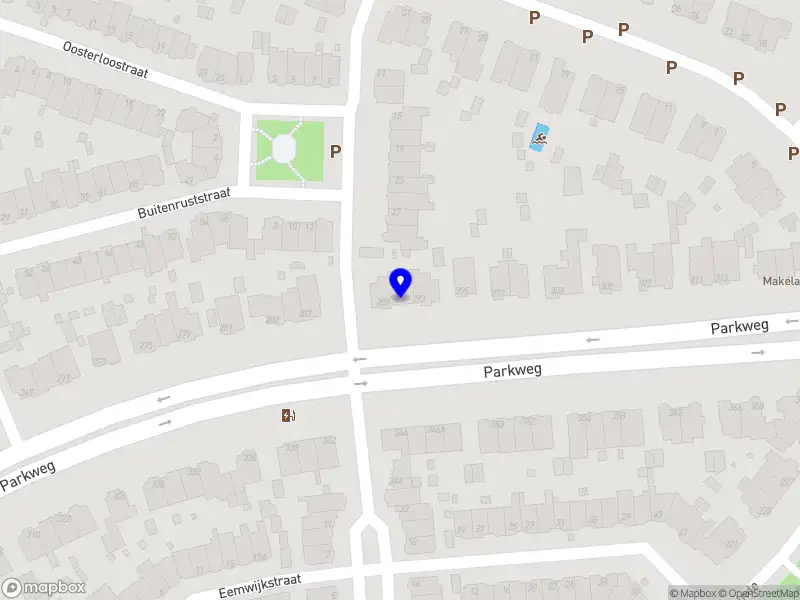 Susan Ruiter Mens en Organisatie