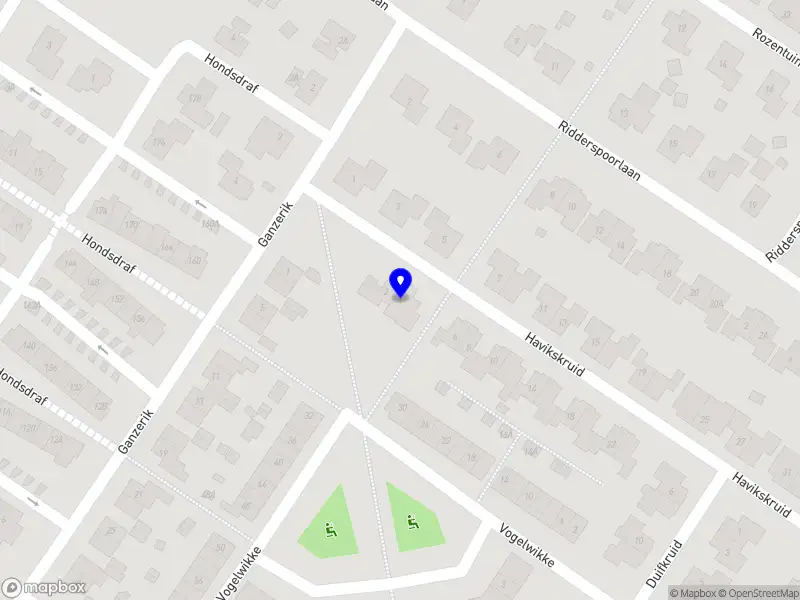 Dennis Geenevasen Onderwijs