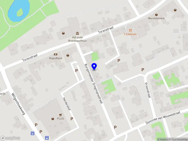 JdW training en advies