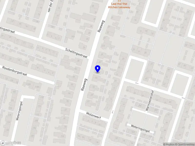 De Rijke Management Support