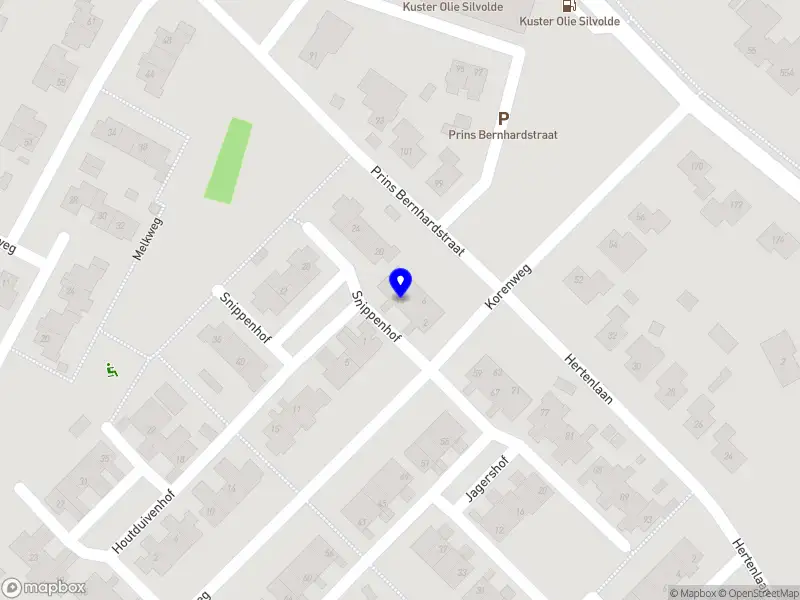 Steinmeijer Sierbestrating