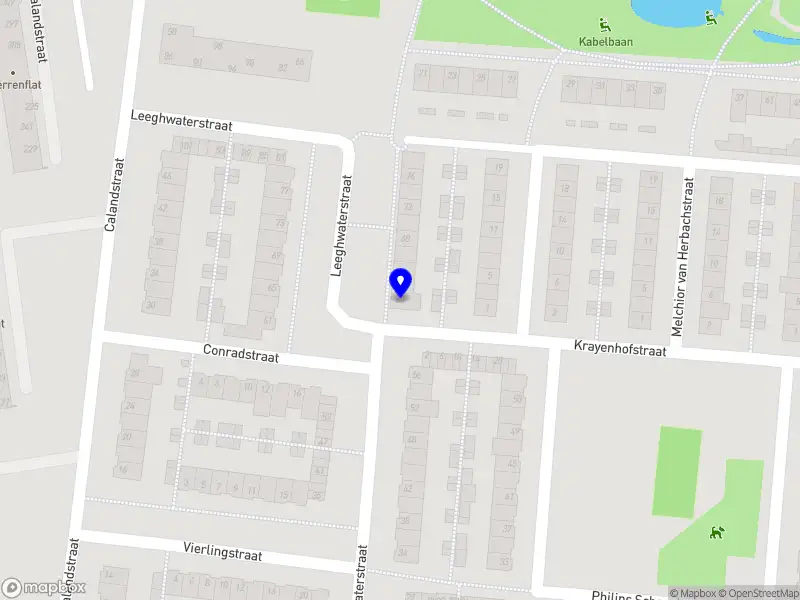 Shelby Laser Technique