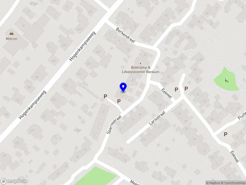 Gospel Vocal Coaching