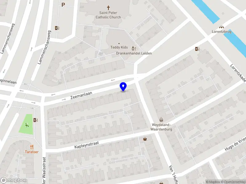 Manzanita Data Strategies