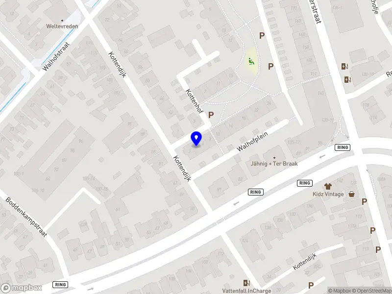 ASH Flavors of Suriname