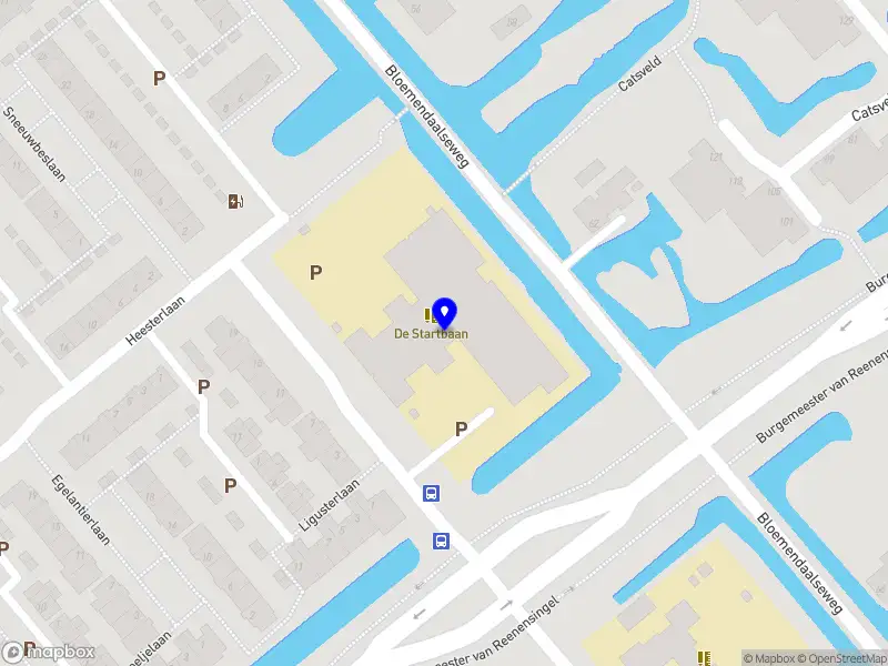 Kinderfysiotherapie De Leeuwensprong