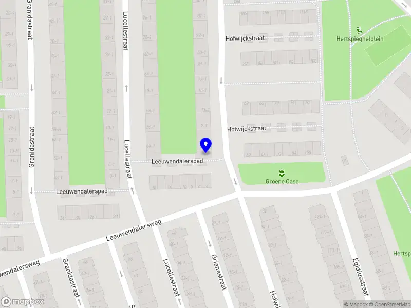 Clever Solutions Consultancy