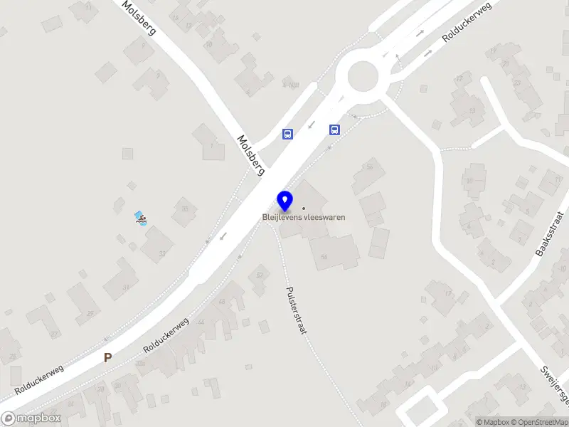 Olaf Thewissen Holding B.V.